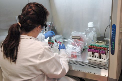 Blood samples from the Washington COVID-19 Biorepository being prepared for analysis at the PATH laboratory