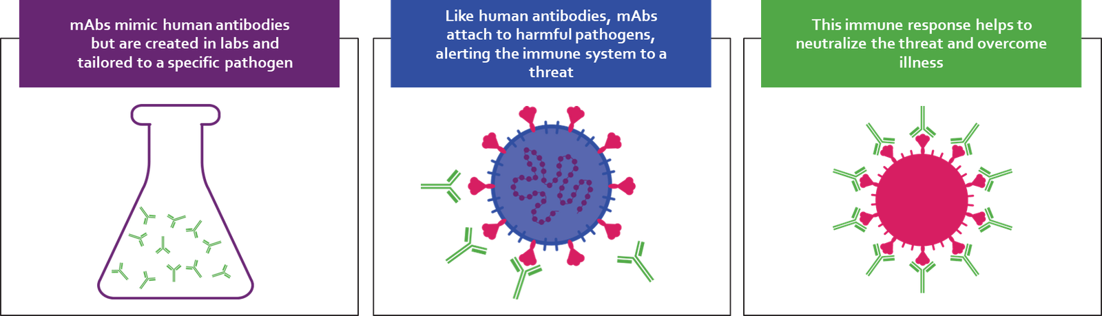 mAb graphic
